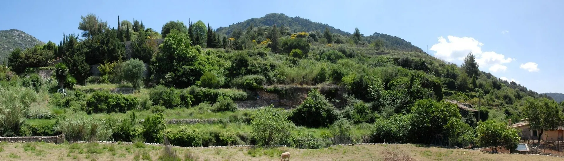Sa Vall Valldemossa