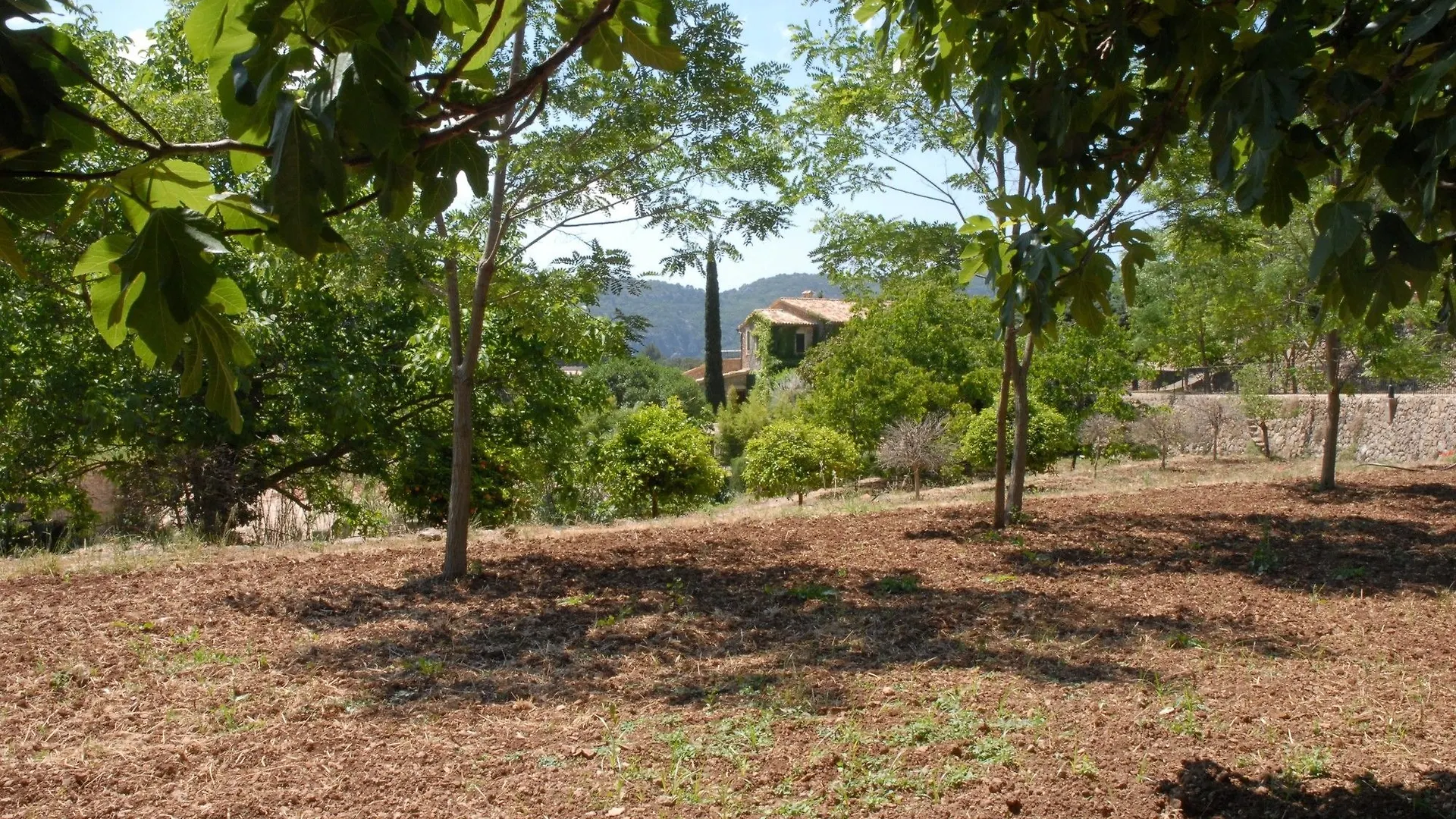 Sa Vall Valldemossa Valldemossa (Mallorca)