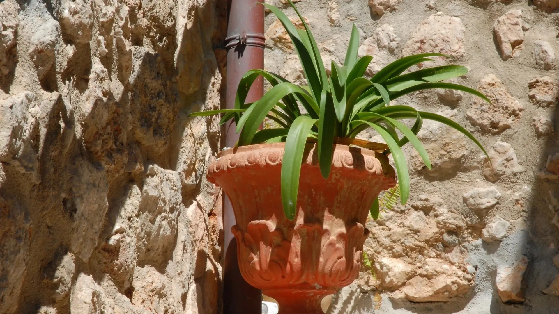 Sa Vall Valldemossa Valldemossa (Mallorca)